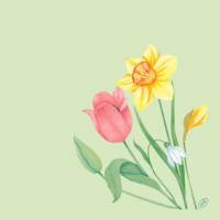 Serviet Bio Dunisoft Spring Melody 40x40cm Floret