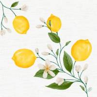 Serviet Dunisoft 40 x 40 cm Lemon Fiesta