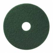 Rondel TASKI Americo Pad EURO 11 tommer  28x280 mm Gr&oslash;n til Reng&oslash;ring