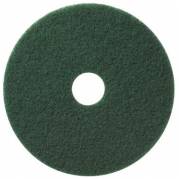 Rondel TASKI Americo Pad EURO 21 tommer  28x530 mm Gr&oslash;n til Reng&oslash;ring