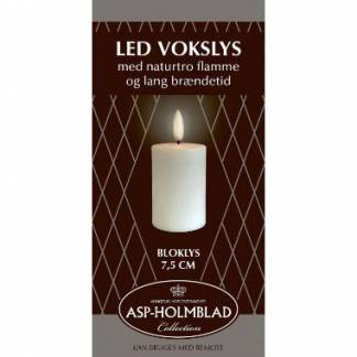 LED lys Asp-Holmblad Bloklys 5x7,5 cm Hvid