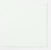 Glastavle Naga magnetisk 100x100 cm hvid 